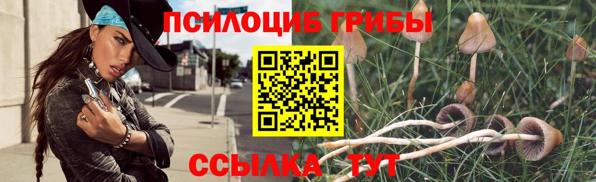Псилоцибиновые грибы GOLDEN TEACHER Россия