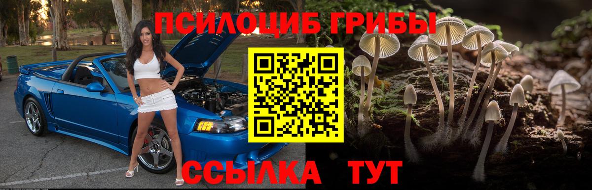 Россия  Псилоцибиновые грибы Cubensis  Вход с VPN 